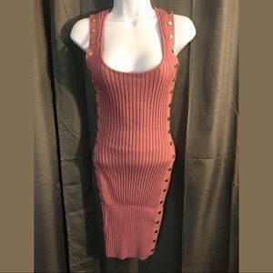 NWT Hera pink body con dress